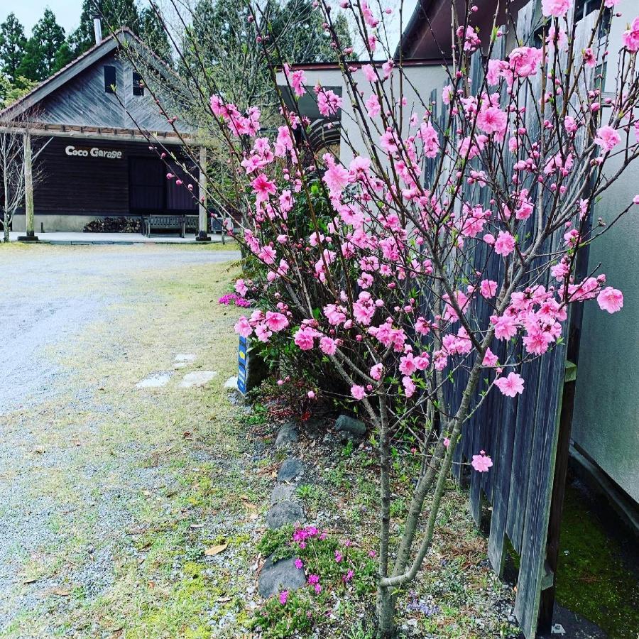 Guesthouse Coco Garage Kirishima Eksteriør billede